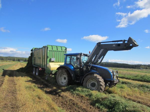 Valtra T190 Krone ZX450
Pito taisi loppua..
Avainsanat: Krone