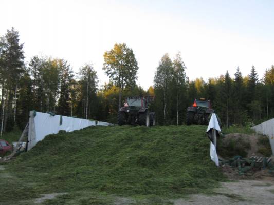 Valtra 8350 ja Valtra T151 
Siilo koneet kesällä 2010.. Vallut 8350 ja T151
Avainsanat: 8350