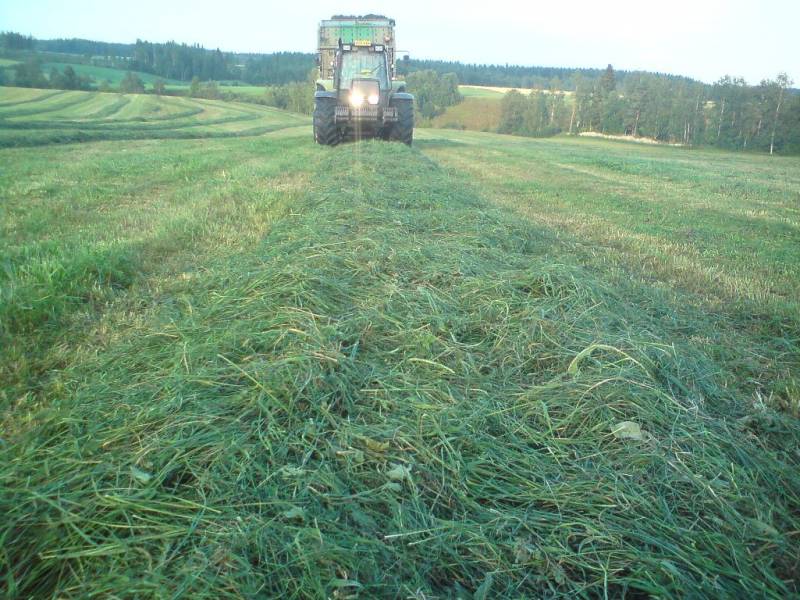 Valtra ja Bergmann
siinäpä ois tuo elholaasen karhoa
Avainsanat: valtra bergmann