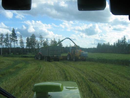 New Hollandin ajosilppuri ja 6495 Massikka
kokoviljasäilörehun keruuta.. valmetilla persässä vaihtoa odotellessa
Avainsanat: new holland ajosilppuri massikka 6495