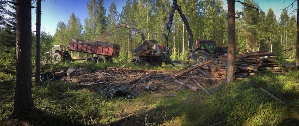 Viimmeesiä vierähän
Haketusta mettätiellä
