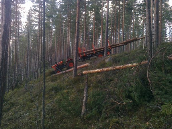 Kubota ja Kapa
Sellasta maastoa oli viime keväänä ajaa sahapuita, kuvassa näkyvä pisin puu oli muistaakseni 5,6 metriä.
Avainsanat: Kubota Kapa