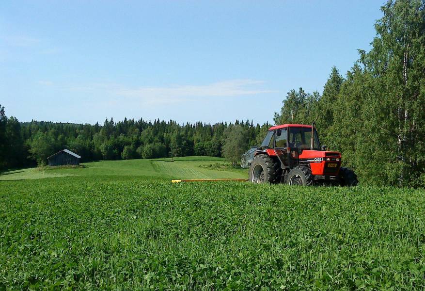 Case 1494 ja Fransgård 
Kesantoa nittelemässä
Avainsanat: case 1494 fransgård niitokone