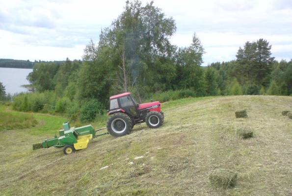 Case ja jontikka
kuivaa se heinä elokuussakkii, aivan rutikuivaa.
Avainsanat: case jontikka