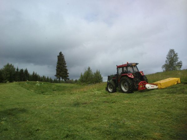 Luonnonhoitopellon siistimistä
Case 5120 ja Fransgård K-240
Avainsanat: niito case 5120 fransgård