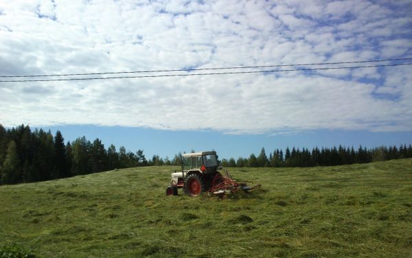 Pöyhintää
DB 996 ja JF CRS 400
Avainsanat: pöyhintä db 996 jf pöyhin