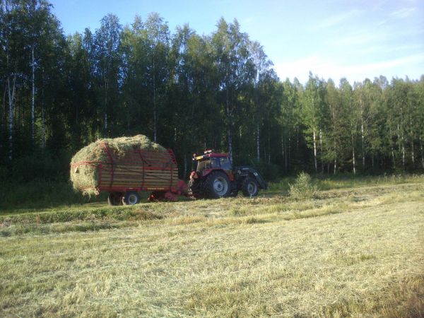 Heinät tehty
Case IH 5120 ja Welger-Tuhti
Avainsanat: case 5120 maxxum welger tuhti noukinvaunu