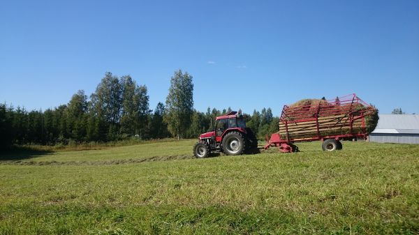 Toista heinäsatoo kasaan 
5120 ja welger-tuhti 
Avainsanat: Heinä case 5120 welger-tuhti