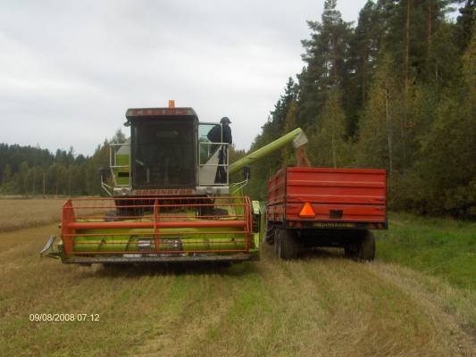 Vehnän puinti.
viimesiä vehnän puinteja. Huolestuttavalta näyttää
kuvassa:claas 58s  ja valtra 6400 ja junkkari 120
