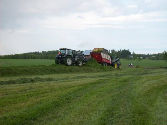 Rehun teko
valtra n121 ja john deere 6630 tyhjentämässä
