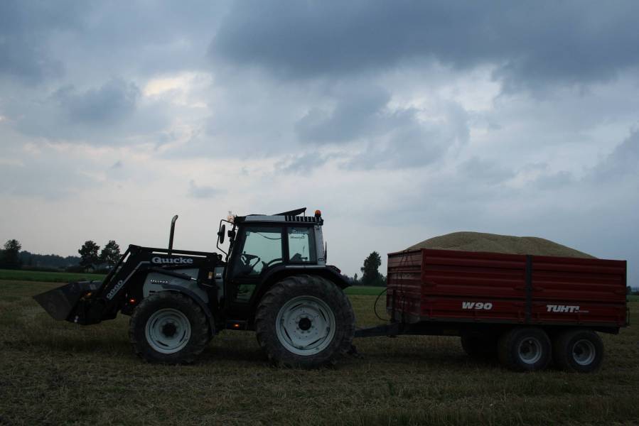 Valtra & Tuhti w90
-11 kauden viimeinen ohrakuorma. Puinnit onnistui täälläpäin erittäin hyvin. Toivottavasti tänäkin vuonna!
Avainsanat: valtra tuhti ohra puinti