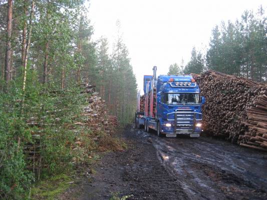 Scania R580 + Jyki & Loglift 125
Sadepäivien jälkeinen ihanuus
Avainsanat: scania ihanuus jyki