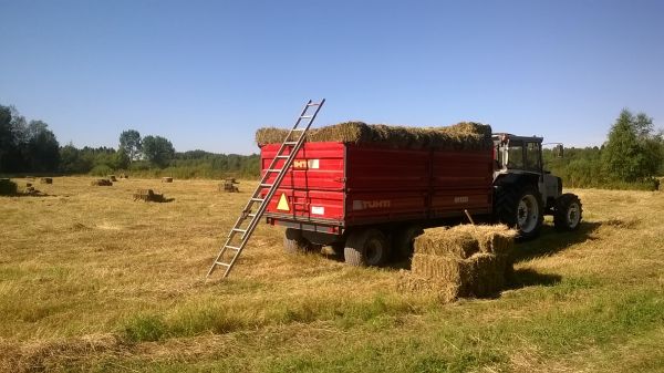 Valmet 605 & Tuhti M120 pikkupaaliheinän keruussa
Paalauksen yhteydessä samalla nopsaa läjitin paalit 6-12 paalin kasoihin niin oli sitte suhteellisen nopsaa touhua kerätä paalit kärryyn kahden henkilön keräysmiehistöllä. Tosin kärryä piti vaihtaan traktorin perään kolme kertaa että 1,5ha heinät nousi renkaille.. :D 
Avainsanat: Heinää Hankoon