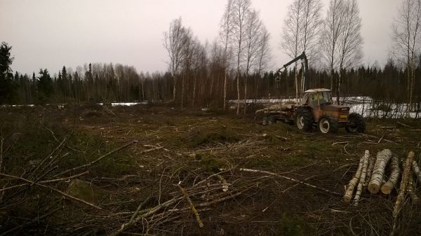 Avohakkuu kevät 2015
Valmet 903 + Vama & Patu metsäperävaunu ajelemassa puutavaraa pois noin hehtaarin kokoiselta pellonkulmakivikolta jossa oli päätehakkuuikäistä koivua sekä pieni ala kierteelle ja kiikkutoolinjaloiksi kasvanutta istutusmännikköä 60-luvulta. Kuormalavallisella dynamiittia tuosta sais tietysti näyttävästi jopa kohtalaista peltoa.. :D Mutta tällä erää siihen istutetaan keväällä 2-vuotiaita kuusentainoja.. :D 
Avainsanat: Avohakkuu Valmet 903 Vama Patu