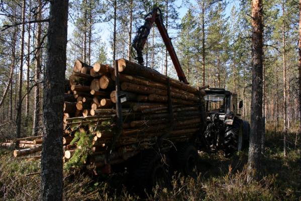 Nevalla puita kärräämässä 905:lla.
Ojalinjojen tyhjennystä. Saapi olla tarkkana kun vesi korkealla ja roudasta tietoakaan... Satuttiin sitä uimaankin vielä yhdistelmän kans.
Avainsanat: 905 tempo