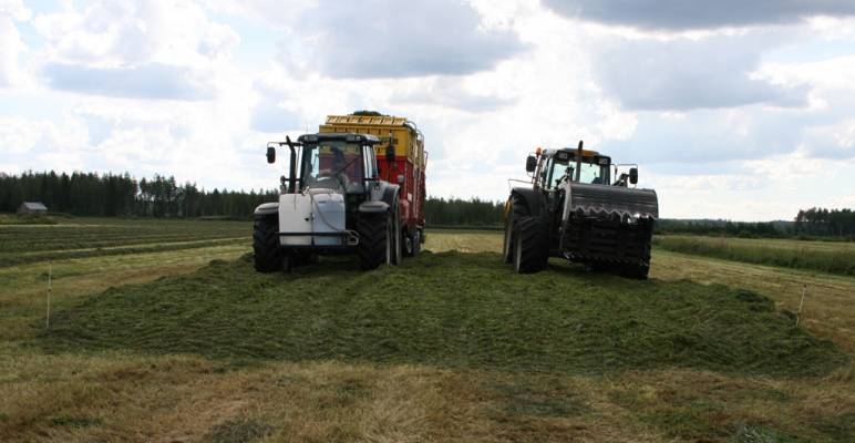 T170 & 8150
Kasan alkua toiselta sadolta.
Valtra T170 '05 - Pöttinger Europrofi 5000
Valtra 8150 '04 - Reck levityskela
- www.dy.fi/m4v -
Avainsanat: Valtra T170 8150 Reck Pöttinger