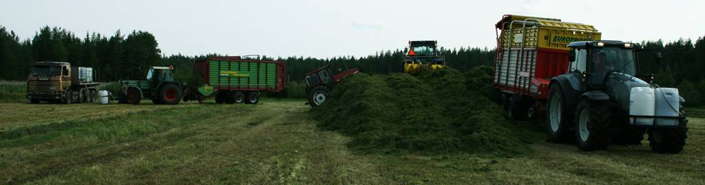 Kuuspyttysten kokoontumisajot :]
Scania 142H
Fendt 612 LS A + Strautmann MegaVitesse III
Valmet 905
Valtra 8150 + Reck
Valtra T170 + Pöttinger Europrofi
- www.dy.fi/m4v -

Kuvasta puuttuu enää kolmantena pyöränä ollut JD 7430 Premium + Strautmann GigaVitesseIV DO... Sääli ettei tarttunut samaan kuvaan.
Avainsanat: valtra scania valmet fendt strautmann pöttinger