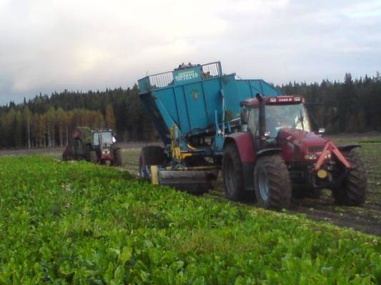 Jurtin nostoa
Case IH CS 120 +Edenhall 723, IH 955+ JF 133
