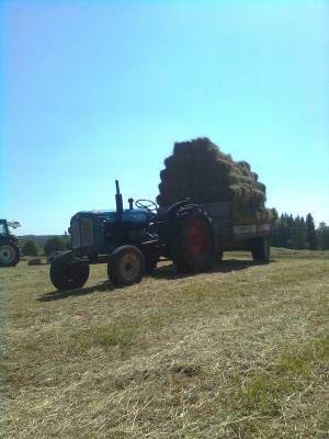 Majuri tositoimissa..
..Heinän tekoa
Avainsanat: Fordson major heinäkuorma