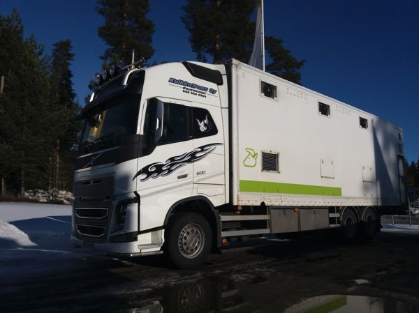 KuikkaTransin Volvo FH16
KuikkaTrans Oy:n Volvo FH16 eläintenkuljetusauto.
Avainsanat: KuikkaTrans Volvo FH16 Eläintenkuljetus
