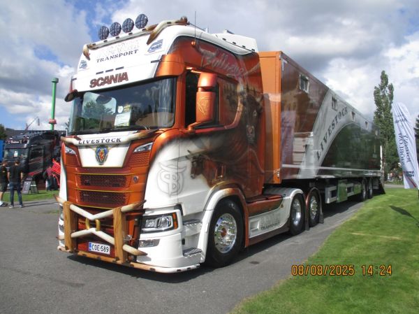 P Björk Transportin Scania R560
P Björk Transportin Scania R5600 "Livestock" eläintenkuljetusyhdistelmä.
Avainsanat: Björk-Transport Scania R560 Livestock Alahärmä25 Eläinkuljetus
