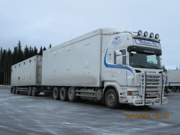 Kuljetus Rikalan Scania R560 
Kuljetus Rikala Oy:n Scania R560 eläintenkuljetusyhdistelmä.
Avainsanat: Rikala Scania R560 ABC Hirvaskangas Eläinkuljetus