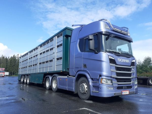 Scania R500
Scania R500 puoliperävaunuyhdistelmä.
Avainsanat: Scania R500 ABC Hirvaskangas Eläinkuljetus