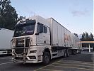 IP_Ecogargon_MAN_TGX_26_510_1.jpg