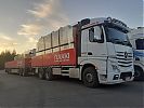 K_Saukon_MB_2853_Actros.jpg