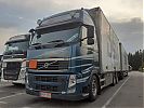 RM-Transitin_Volvo_FH460.jpg