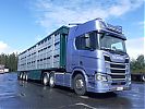 Scania_R500_30.jpg