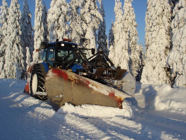 Aurausta
Komiaa tykkymetsää
Avainsanat: newholland