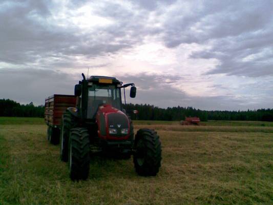 Puintia
Valtra A92, Tuhti, Massey Ferguson 206
Avainsanat: valtra a92 puinti