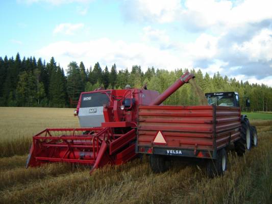 Säiliön tyhjennys
MF 206, Velsa ja Valmet
Avainsanat: puinti mf 206 puimuri