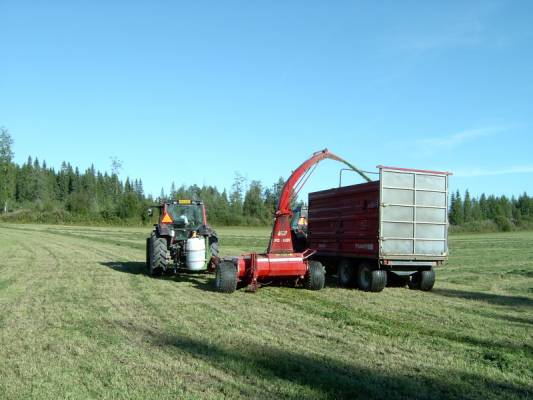 jf900, 8050 hitökki 6400 ja tuhit
tehtii rehua joskus kesämäessä, onnistuhan se noinki jotenkuten.
kärry trakun koppii vaa meinas happo höyryt tulla.. :S


Avainsanat: jf 900 8050 6400