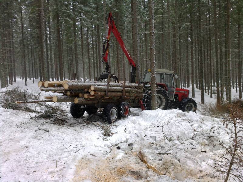 Mettätöitä
MF 390
Avainsanat: MF 390 Mettä