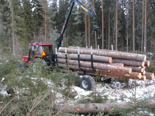 Sahatukkien ajoa Case IH695 + Palms 620-80
Tästä se talon laajennusprojekti alkaa.
Avainsanat: metsäkärry kourakuormain puun ajo tukkikärry case palms