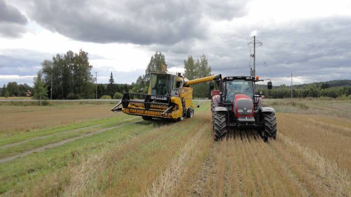 SR 2035 & Valtra N141&Tuhti M90
Syöksyllä Rypsin puinnissa.
Avainsanat: Sampo valtra tuhti rypsi