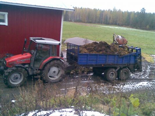 Massey Ferguson 4255 ja Terra 10M
Ja paska liikkuu..
Avainsanat: massikka terra