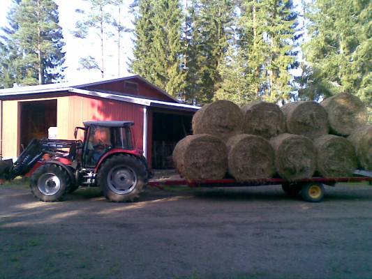 massey ferguson 5455, isme 170b ja paalikärrit
pahnojen ajoa
Avainsanat: massikka isme paalikärrit