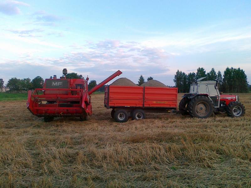 Massey Ferguson 240 ja 85 Junkkarien edessä Massey Ferguson 390
Viimeisiä puinteja
Avainsanat: massikka 240 390 junkkari 85