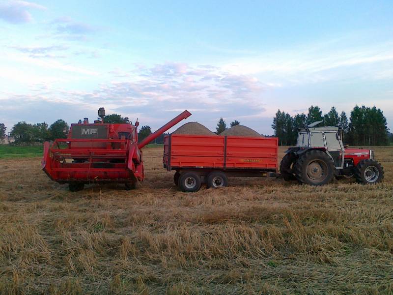 Massey Ferguson 240 ja 85 Junkkarien edessä Massey Ferguson 390
Viimeisiä puinteja
Avainsanat: massikka 240 390 junkkari 85