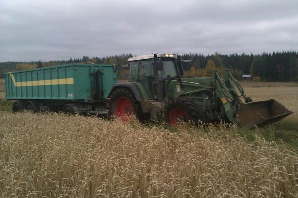 Fendt 818 ja Jykit
Viljanajoa
Avainsanat: Fendt 818