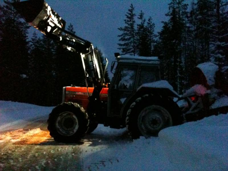 390 jumissa
Lähti etukuormaajan + lingon + hydetyöntövarren yhdistelmällä, renkaat ei pitänyt yhtään mitään.
Avainsanat: mf 390 massikka massey ferguson