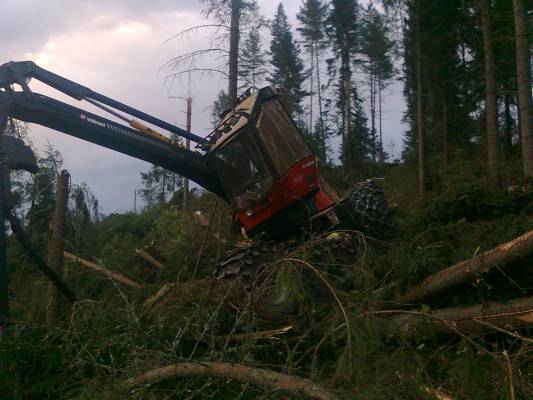 901.3 myrskytuhoalueella
Jyrkkä maasto Simpeleellä
Avainsanat: valmet 901.3 901 941 911 vallu simpele