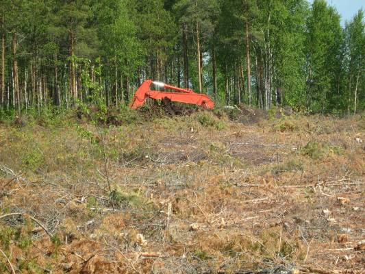 kobelco 135 sr upoksissa
uutismaan teossa osuttiin vanhaan turpeennostoreikään, joka oli aikojen saatossa rahkottunut huomaamattomaksi. pyöri niin kauan että kerkesin pelastaa moottorin kastumiselta

Avainsanat: Kobelco upotus