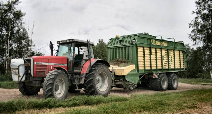 uusintakierros, MF 8160 + Krone 6XL
tuolla reissulla taisin änkeä 3ha yhteen kuormaan. kyllä, oli paska pelto. puolet kuormasta turvetta, ei auttanut mikään. tais apulannoitin niskotella tjs ku kasvoi niin heikosti. tai sataa liikaa. noukkimen kuavnpuoleinen tukipyöränvarsi sukelsi ja katkesi sekä 1/3 piikeistä varisi pois korjuun aikana - tämä 3-4a käytön jälkeen, hyvinhän tuo pärjää. 70ha aumaan
Avainsanat: mf 8160 Krone 6XL rehunteko