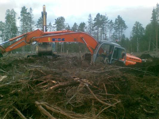 Fiat koppelo yritti piiloutua suohon.
