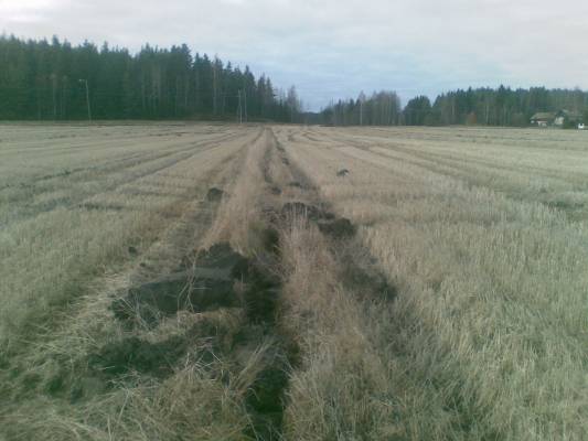 Ojituksen jälkeä
Nätisti meni sarkaojaan salaoja putki. Alkoivat jo seuraavana päivänä valuttamaan vettä. 
