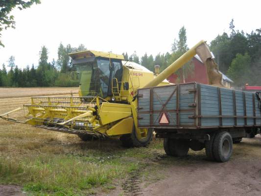 8060&956xl
Ohra kuorman täyttöä elokuussa -08. Pian tämän jälkeen alkoikin satamaan taas. 
